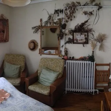 Comfortable House Center-2